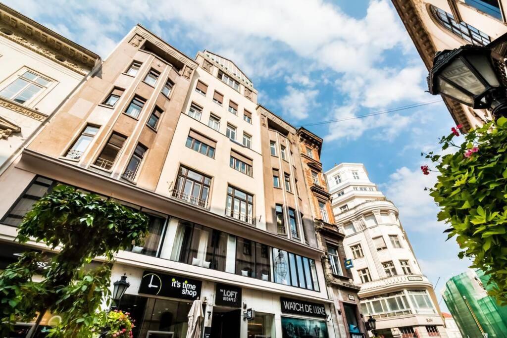 Located, 150 M2 5 Bedrooms Apt., דירה בודפשט